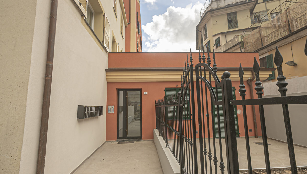 37_v San Vincenzo