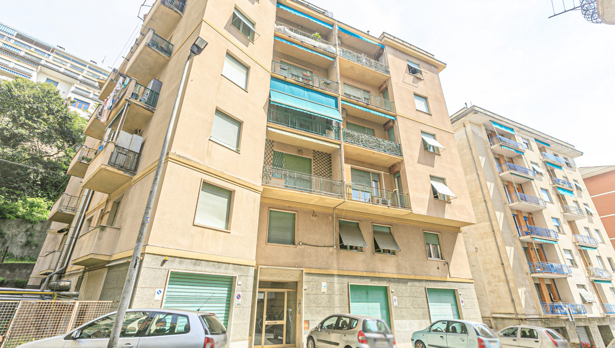32_v Ausonia 9