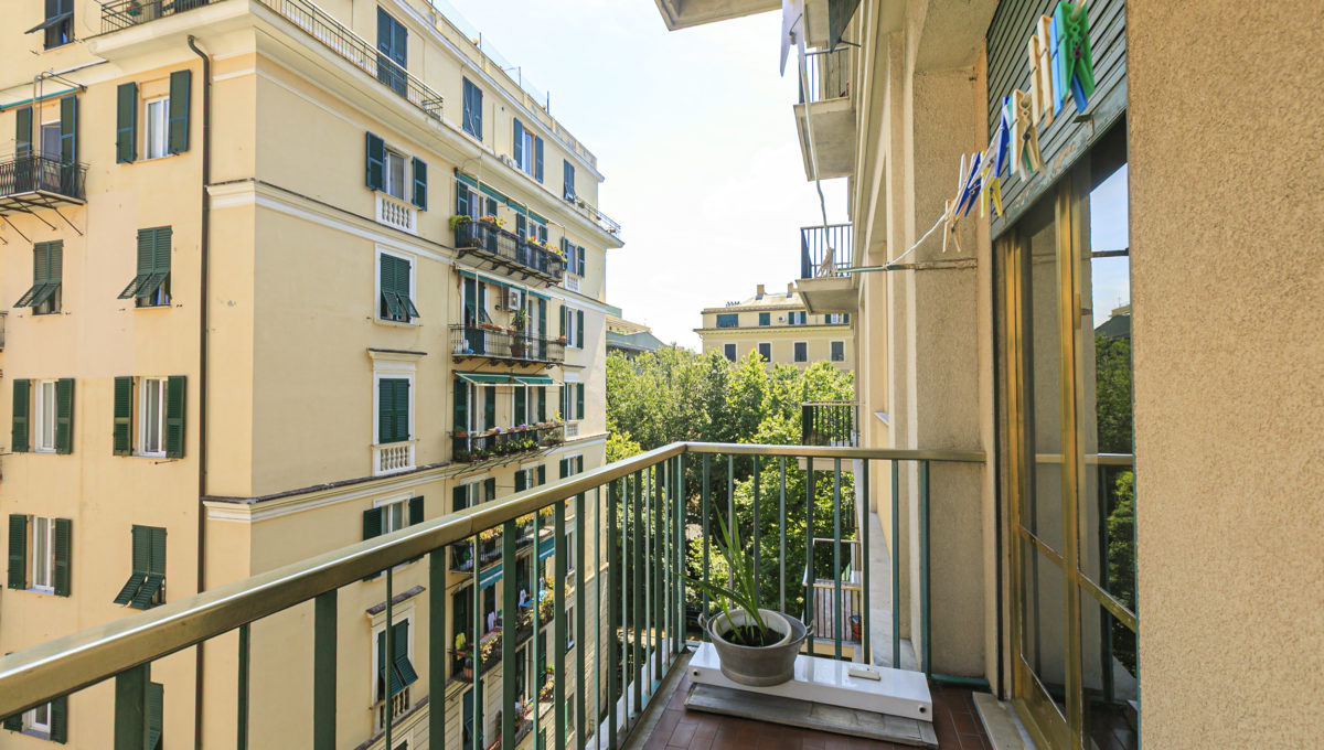 11_corsica