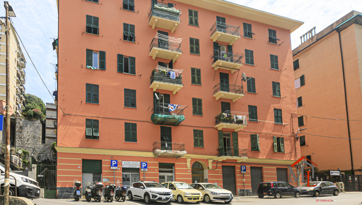 40_piantelli